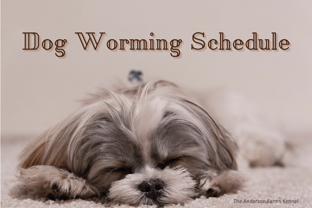 Dog Worming + Freebie The Anderson Farms Kennel