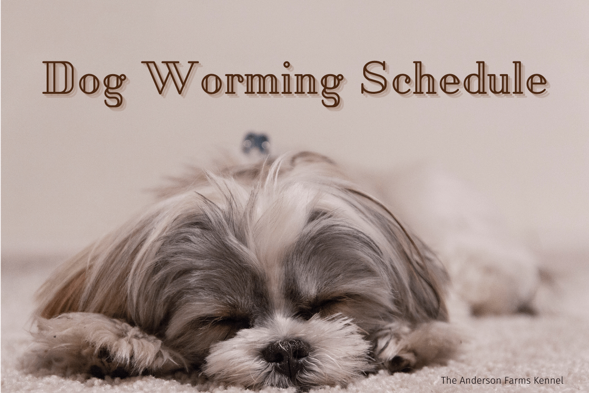 dog-worming-freebie-the-anderson-farms-kennel